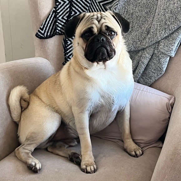 Thank you for shopping with me! Offers welcome! - Picture 15 of 16